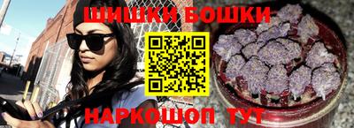 МДПВ Бийск