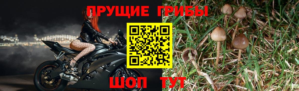 Галлюциногенные грибы ЛСД Зерноград